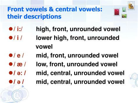 PPT Vowels Front Vowels Central Vowels PowerPoint Presentation