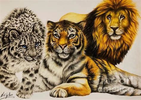 Three Roars By Art By Three Sarah Rebekah Rachel White Big Cats