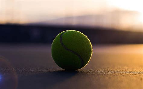 Tennis Ball Outdoor Sports Hd Wallpaper Peakpx