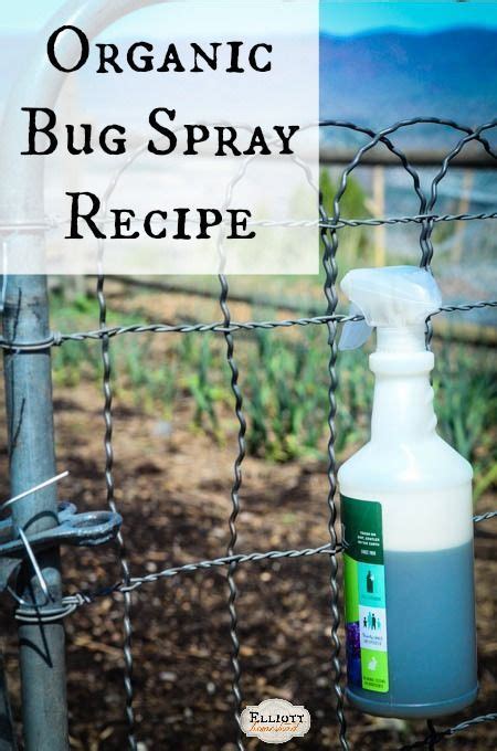 Organic Bug Spray Recipe Easy All Natural And Inexpensive Make It
