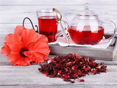 beneficios para la salud del té de hibisco remediosmd