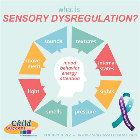 Sensory Processing Disorder Child Success Center