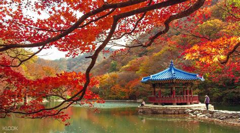 Naejangsan National Park Autumn Season Trip From Seoul South Korea