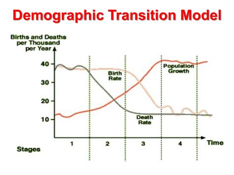 Lesson 3 Demographic Transition Model