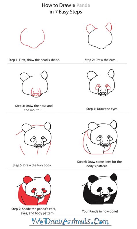 How To Draw A Panda Head