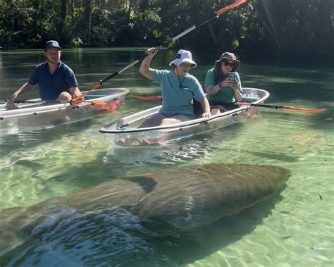 Weeki Wachee Manatee Kayak Tour Get Up And Go Kayaking