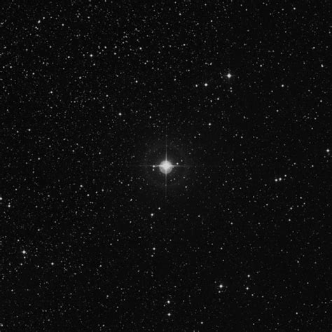 49 Cygni Star In Cygnus