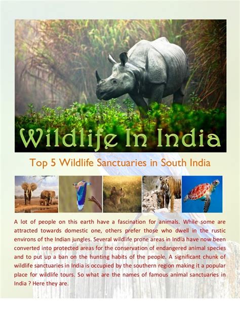 Top 5 Wildlife Sanctuaries In South India