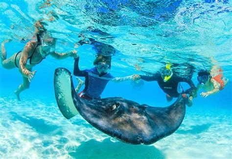 Stingray City Boat Charter Cayman Private Boat Tours