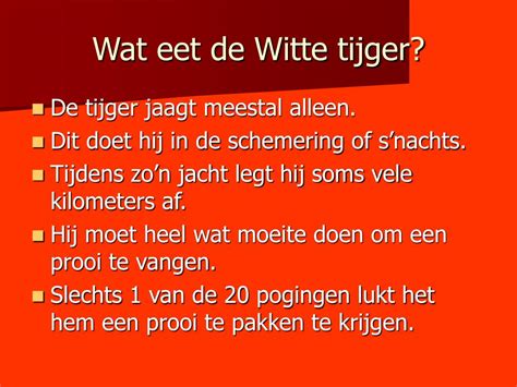 PPT Witte Tijger PowerPoint Presentation Free Download ID