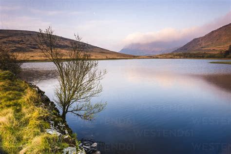 Lake At Sunrise Near The Foot Of Snowdon Snowdonia National Park