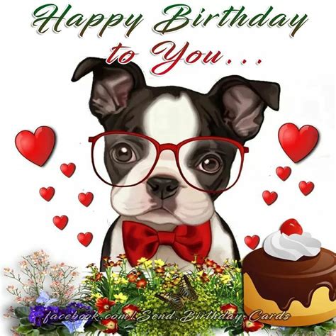 Birthday Happy Birthday Funny Dog Boston Terrier Lover Boston