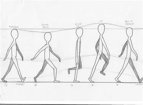 Animation Technique Walking Cycle