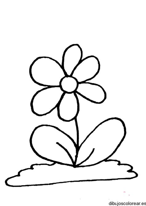 Free Coloring Pages Of Flores Orquidea
