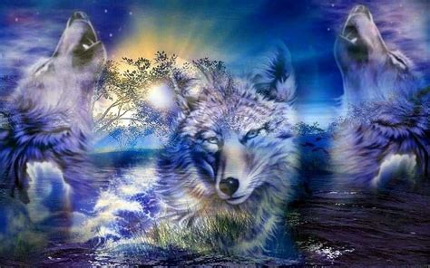 Awesome Beautiful Wolf Wallpapers Free Download