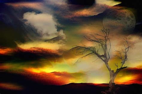 Lonely Tree Digital Art By Bruce Rolff Pixels