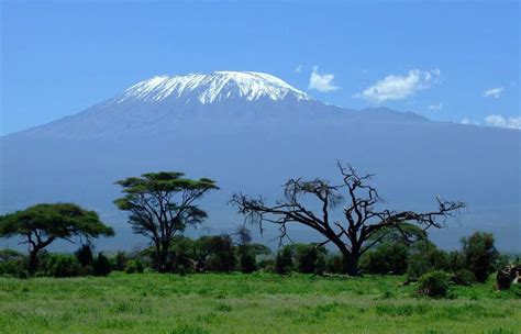 Top 10 Facts About The Kilimanjaro Discover Walks Blog