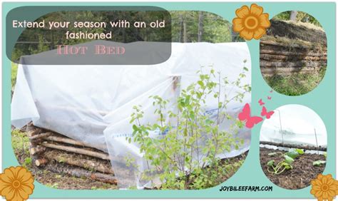 extend your season with an old fashioned “hot bed” joybilee farm diy herbs gardening