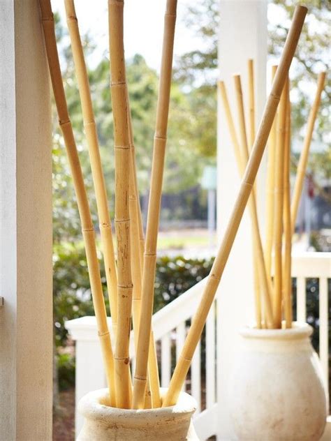 Outdoor Patio Decor Bamboo Poles In Vase Decoracion Con Bambu Cañas