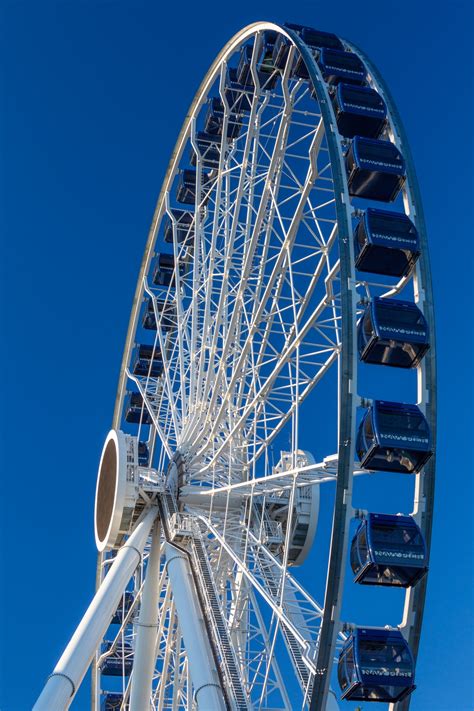 Chicago Ferris Wheel Free Stock Photo Public Domain Pictures