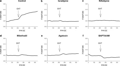 Changes Of Intracellular Calcium After Stimulation With 1 µm Oxytocin