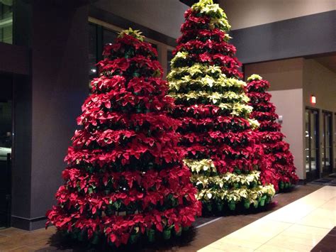 First things first…the poinsettia isn't really a there is a lot more to symbolic mistletoe meaning than just kisses and christmas decorations. Poinsettia Christmas tree | Christmas decorations ...