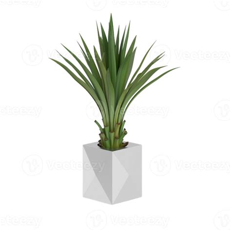 Green Tropical Houseplant In A Pot Isolated On Transparent Background