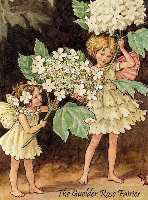 Pin By Kenda Davis 👸 On Magick And Faeries In 2020 Flower Fairies