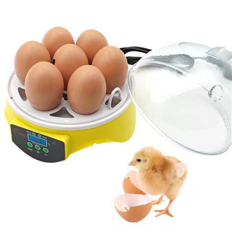 mini 7 eggs incubator for poultry brooder digital temperature control brooder farm chicken bird