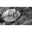 Lucapa Diamond Company ASXLOM Sees Record Production 