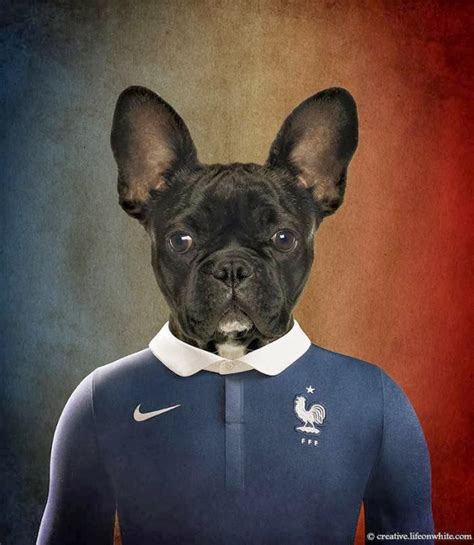 Fuzzynation bulldog dog handbag crossbody shoulder out of the cage. FRANCE — French Bulldog T-shirt French national team for ...