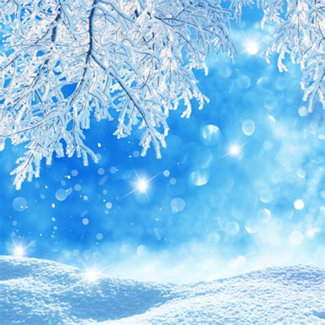 Buy Shiny Snow Floor And Branch Blue Sky Christmas Photography Backdrops