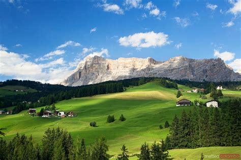 Green Valley In The Italian Alps In Summer Dolomites Italy Royalty