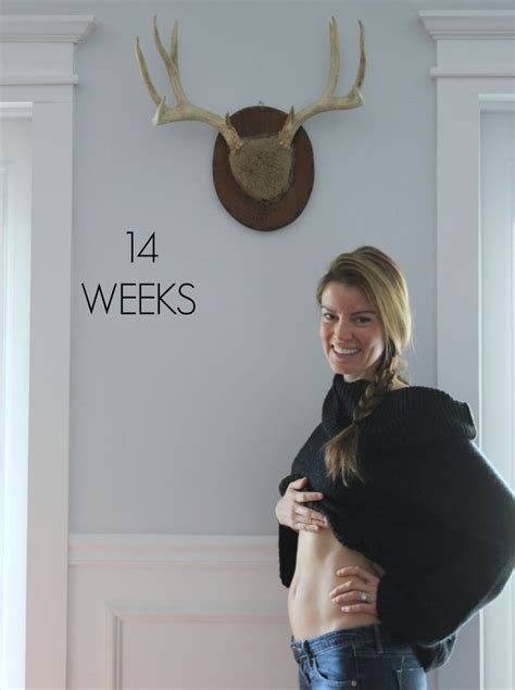 14 Weeks Pregnant Dream Book Design