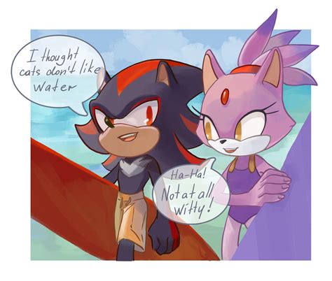 Blaze And Shadow Sonic The Hedgehog Know Your Meme