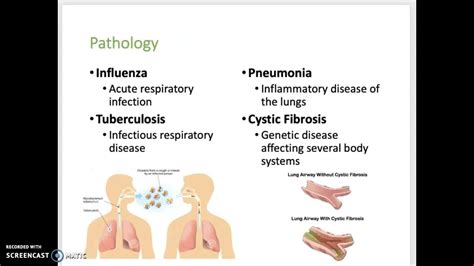 Respiratory System Lecture Youtube