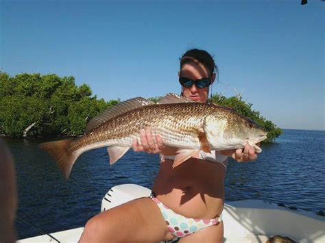 Driving directions to port charlotte, fl including road conditions, live traffic updates, and reviews of local businesses along the way. Help me build my tacklebox (Charlotte Harbor: house ...