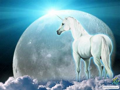 Unicorn Pegasus Unicorns Moon Wallpapers Desktop 3d