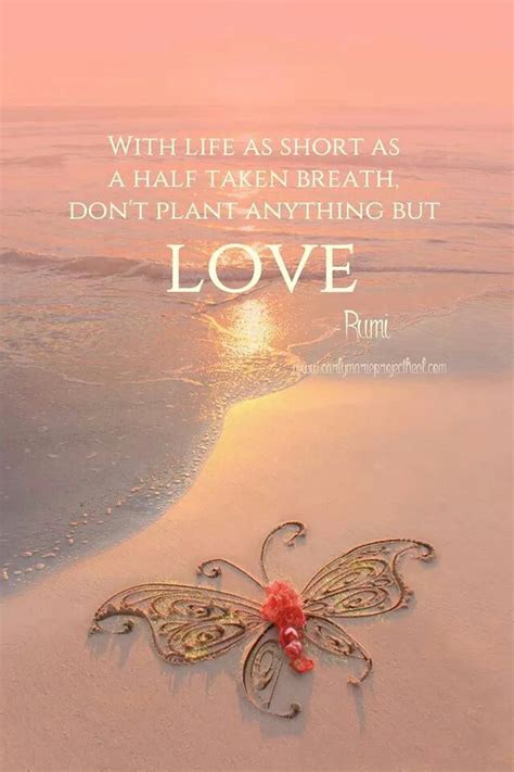 Rumi Quotes True Love Quotesgram