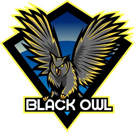 Black Owl Logo Design Lyrical Venus