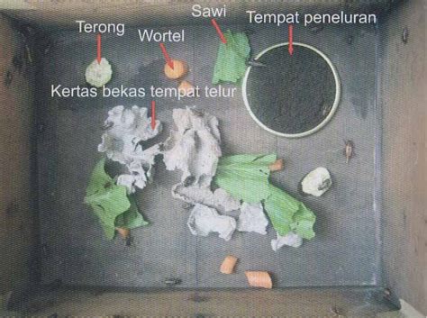 Check spelling or type a new query. Desember 2013 ~ Ono Opo Wae