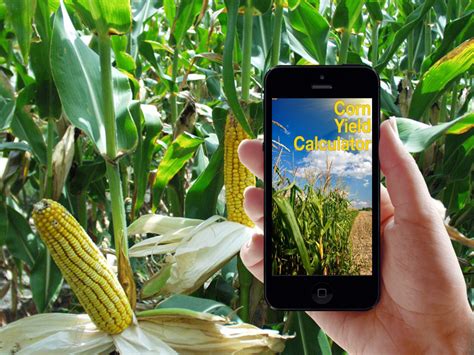 Corn Yield Calculator By Tanzanite Infotech On Dribbble
