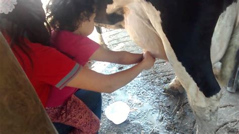 Sacándole leche a la vaca Agustina YouTube