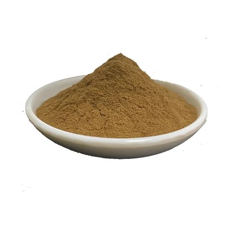 Organic Dried Hericium Erinaceus Mushroom Powder Extract Lion′s Mane Mushroom Extract Powder