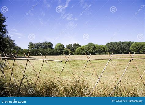 Autumn Meadow And Fence Stock Image Image Of Clean Rural 10955673