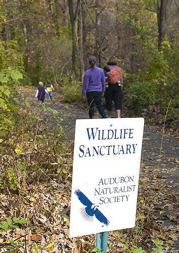 Nature Walk Audubon Wildlife Sanctuary Northeastern Usa Imagine