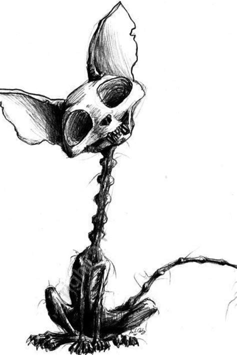 When is the best time to draw animals? Voodoo Drawings | Free download on ClipArtMag