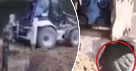 Construction Workers Get Very Nasty Surprise While Digging Daily Star
