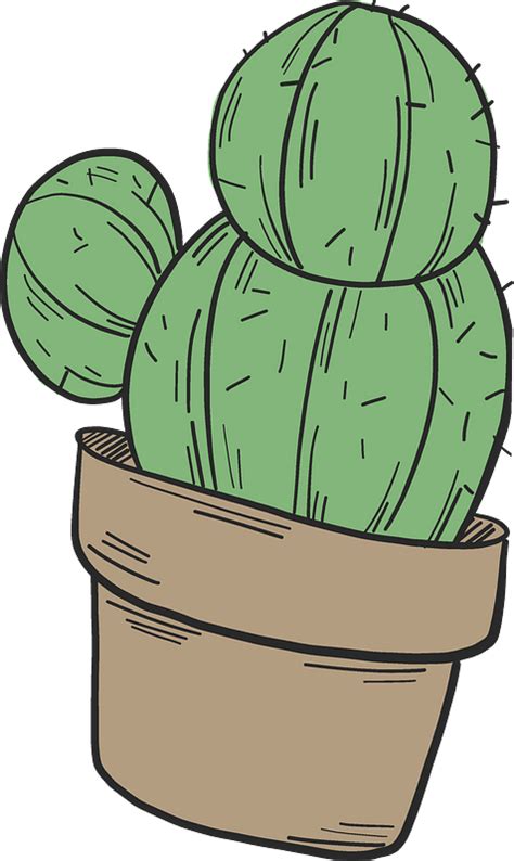 Cactus In A Pot Clipart Free Download Transparent Png Creazilla