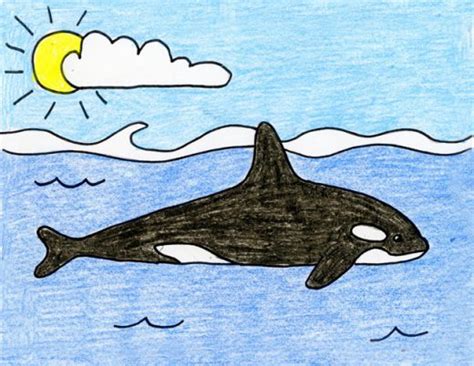 Draw A Killer Whale · Art Projects For Kids